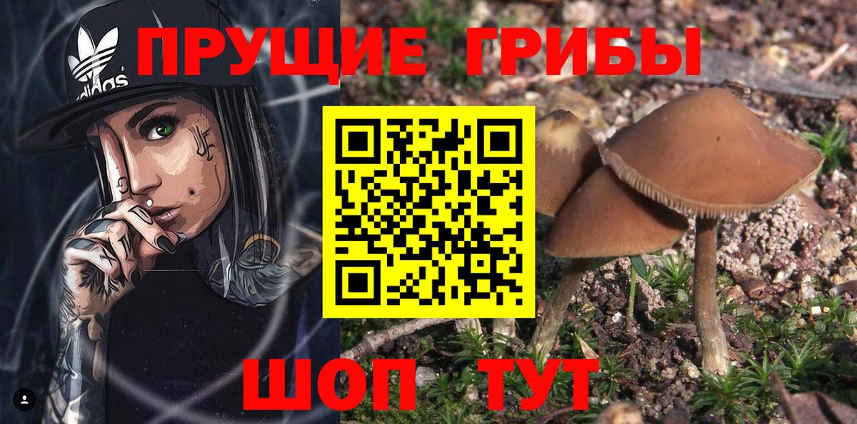 Галлюциногенные грибы Magic Shrooms Сорочинск